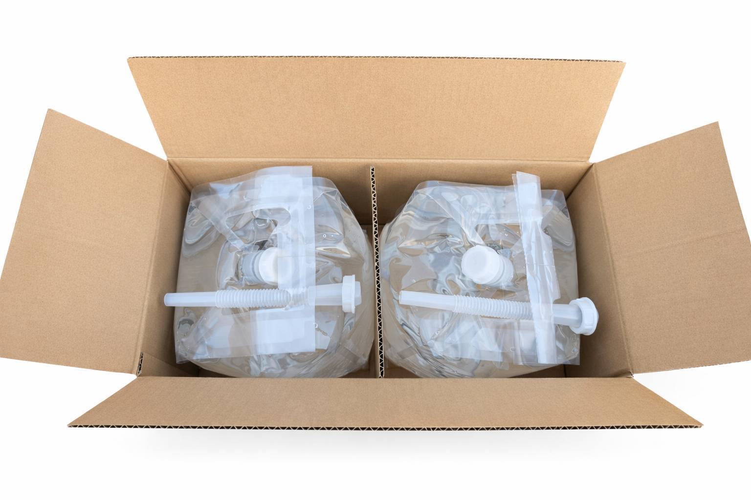 10Lパウチ（2個入り）